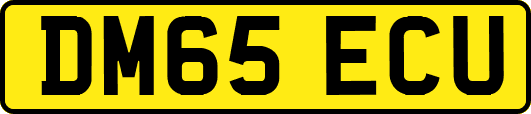 DM65ECU