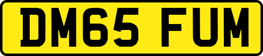 DM65FUM