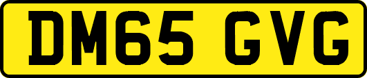 DM65GVG