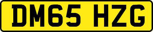DM65HZG