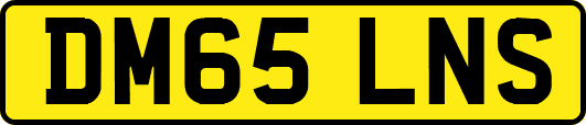 DM65LNS