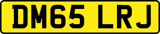 DM65LRJ