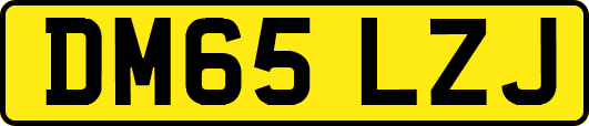 DM65LZJ
