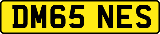 DM65NES