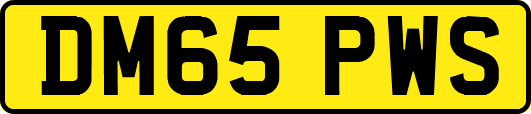DM65PWS