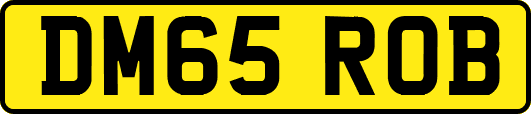 DM65ROB