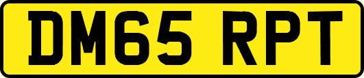 DM65RPT