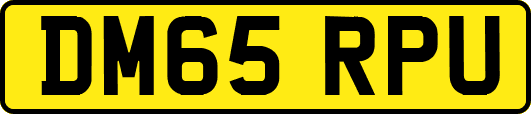 DM65RPU