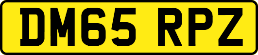 DM65RPZ