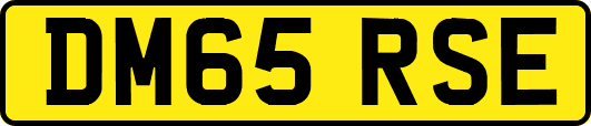 DM65RSE