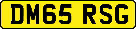 DM65RSG