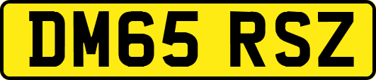 DM65RSZ
