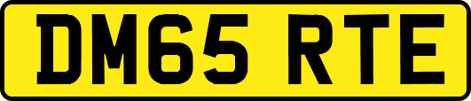DM65RTE