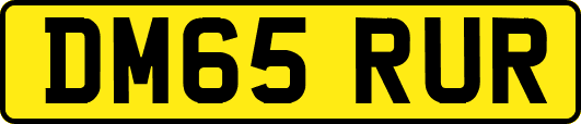 DM65RUR