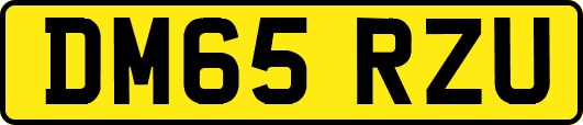 DM65RZU
