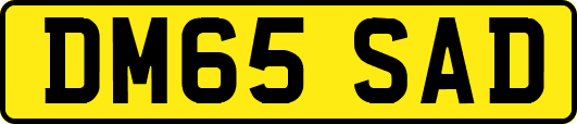DM65SAD