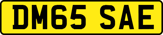 DM65SAE