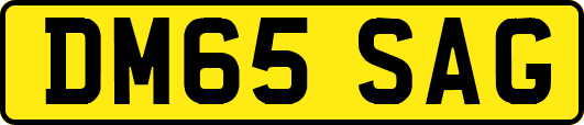DM65SAG