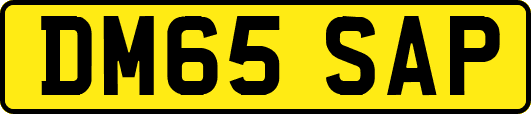 DM65SAP
