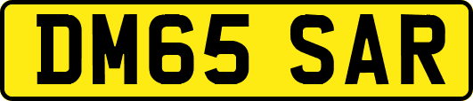 DM65SAR