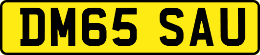 DM65SAU