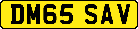 DM65SAV