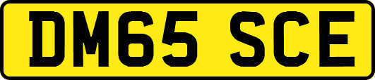 DM65SCE