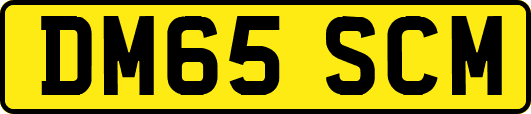 DM65SCM