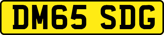 DM65SDG