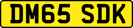DM65SDK