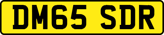 DM65SDR