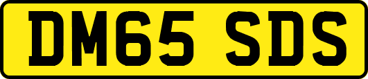 DM65SDS