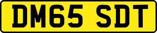 DM65SDT