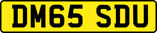 DM65SDU