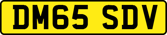 DM65SDV
