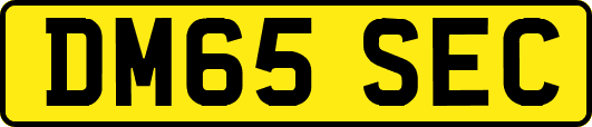 DM65SEC