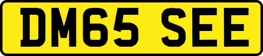 DM65SEE