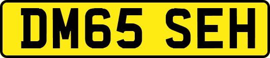 DM65SEH