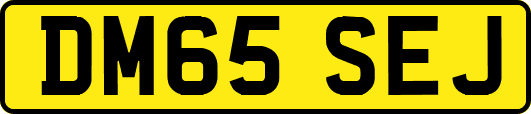 DM65SEJ
