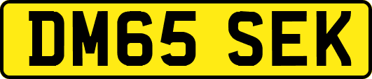 DM65SEK