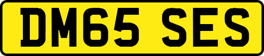 DM65SES