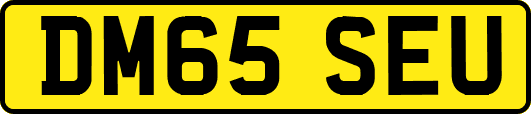 DM65SEU