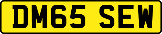 DM65SEW
