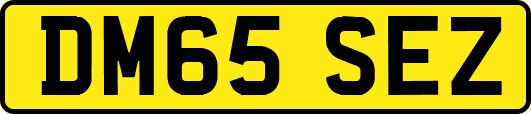 DM65SEZ