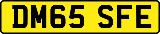 DM65SFE