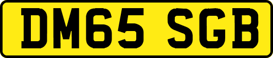 DM65SGB
