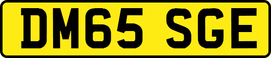 DM65SGE