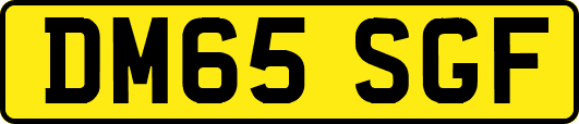 DM65SGF