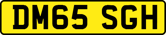 DM65SGH
