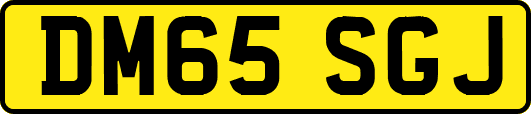 DM65SGJ